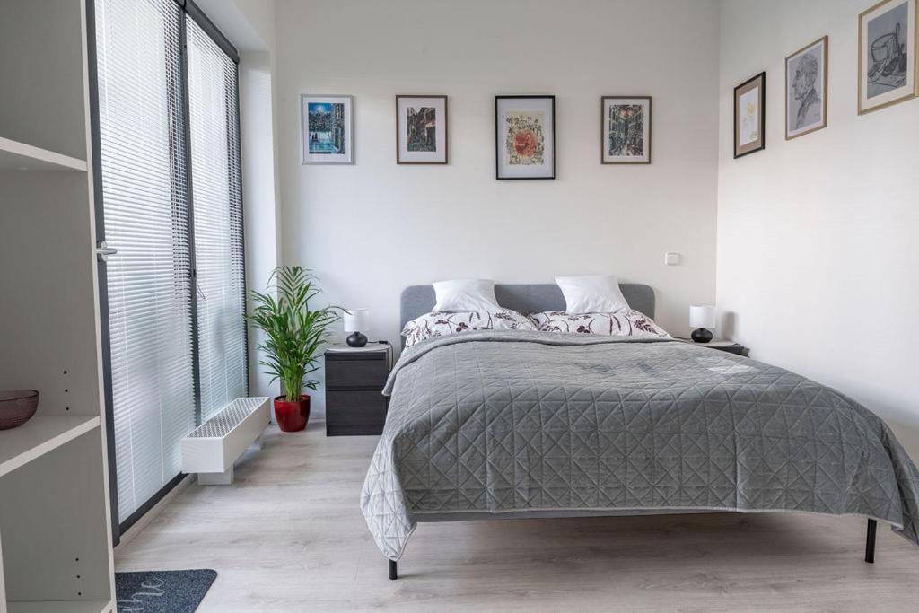 Nove Sady Olomouc Lägenhet Exteriör bild